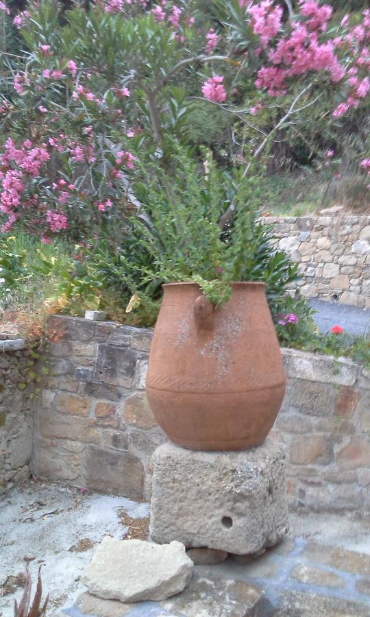 Traditional House Koukounara Country house Kissamos