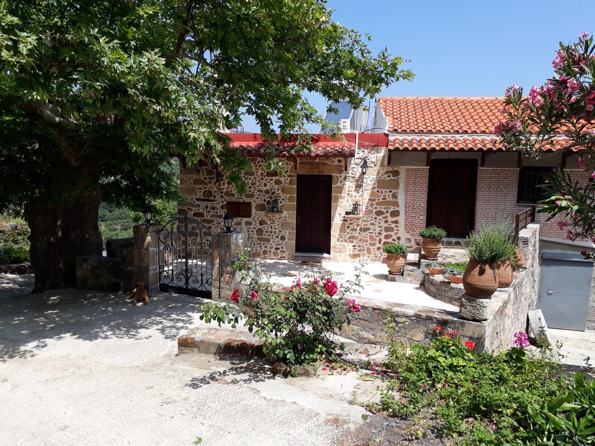 Country house Traditional House Koukounara *