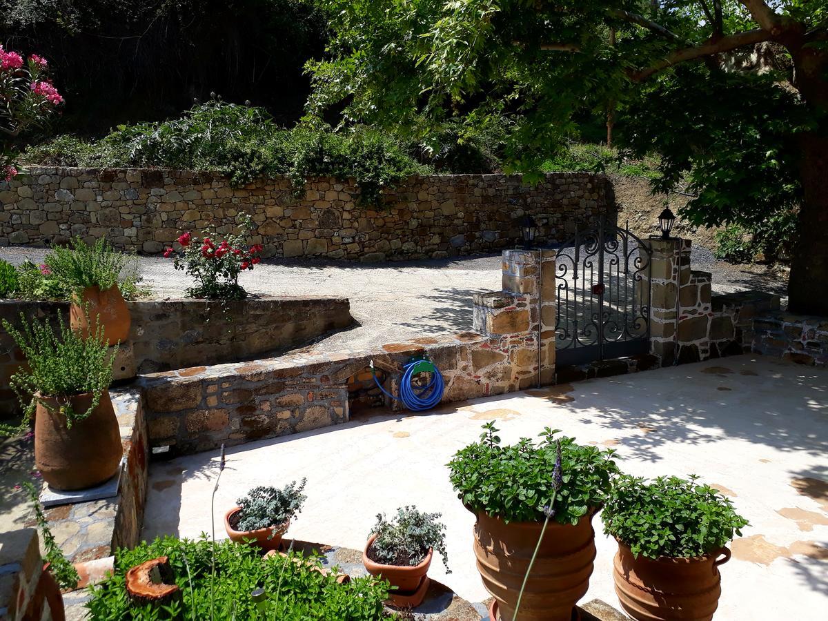 Country house Traditional House Koukounara *