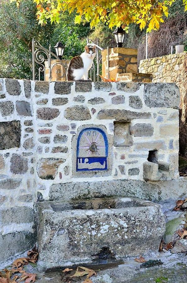 Traditional House Koukounara