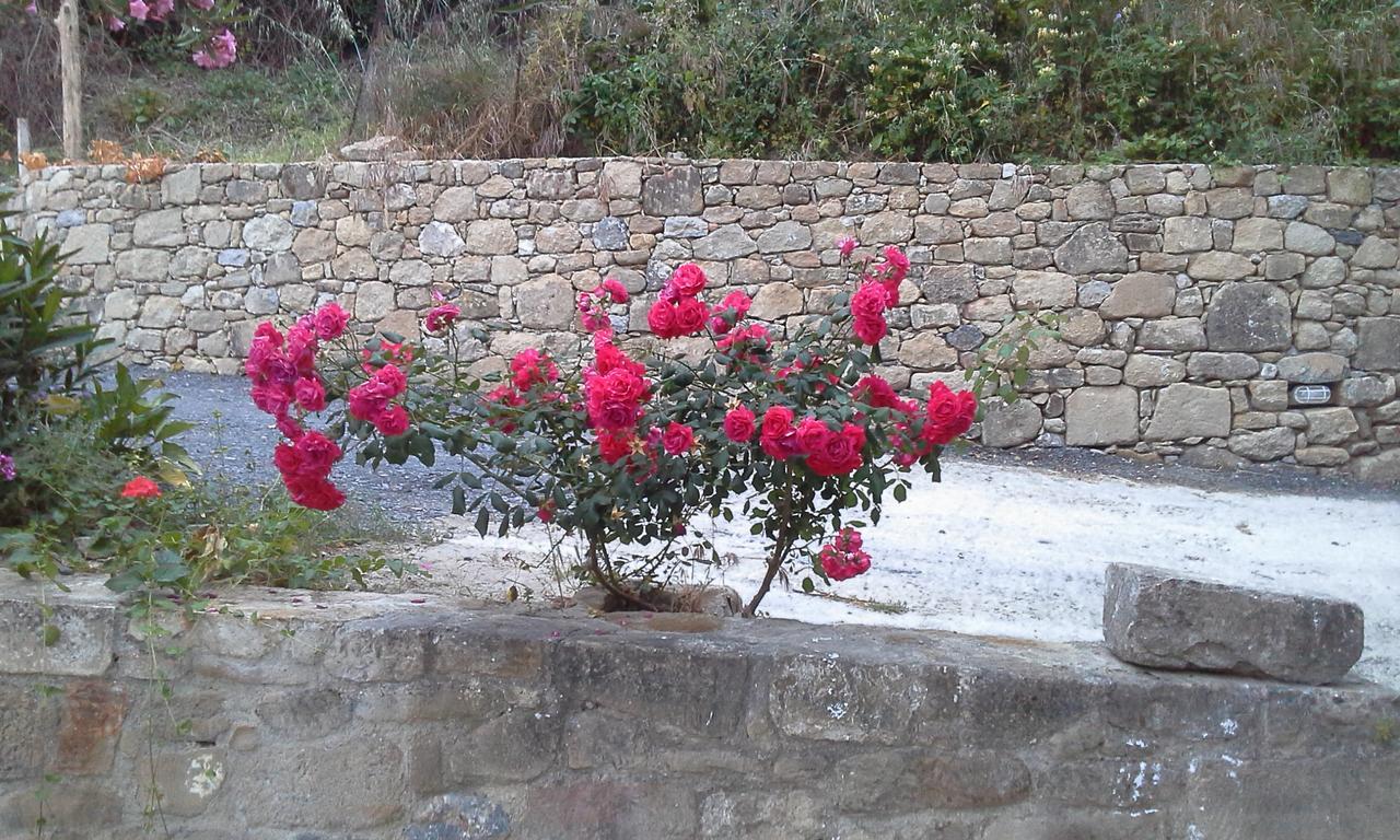 Traditional House Koukounara Kır Evi Kíssamos