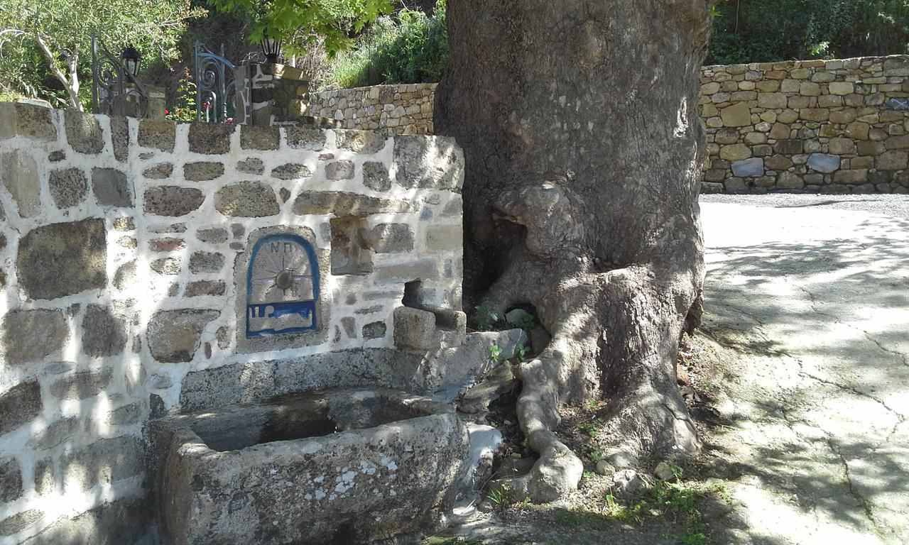 Traditional House Koukounara Kır Evi *