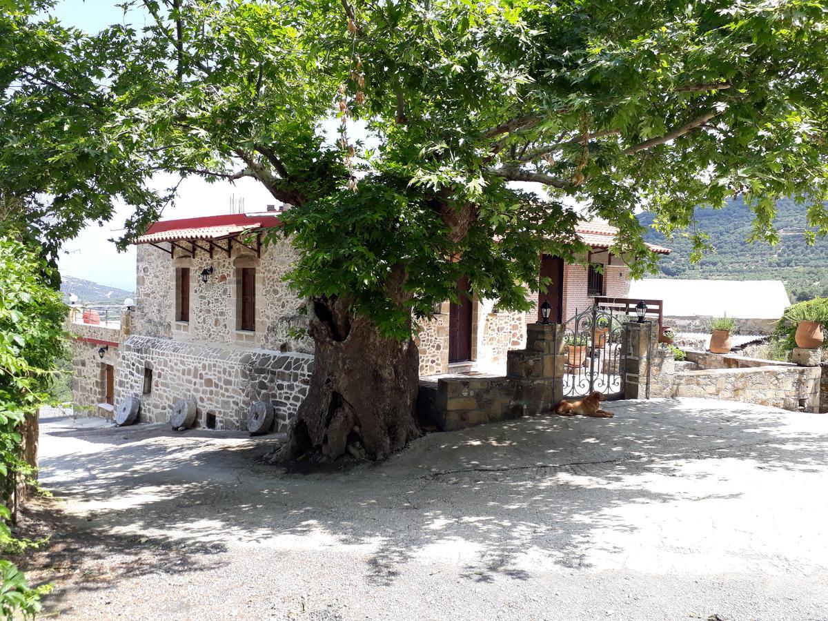 Traditional House Koukounara Kır Evi *